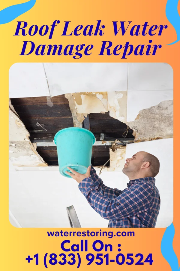 Roof Leak Water Damage Repair in Solon Mills, IL